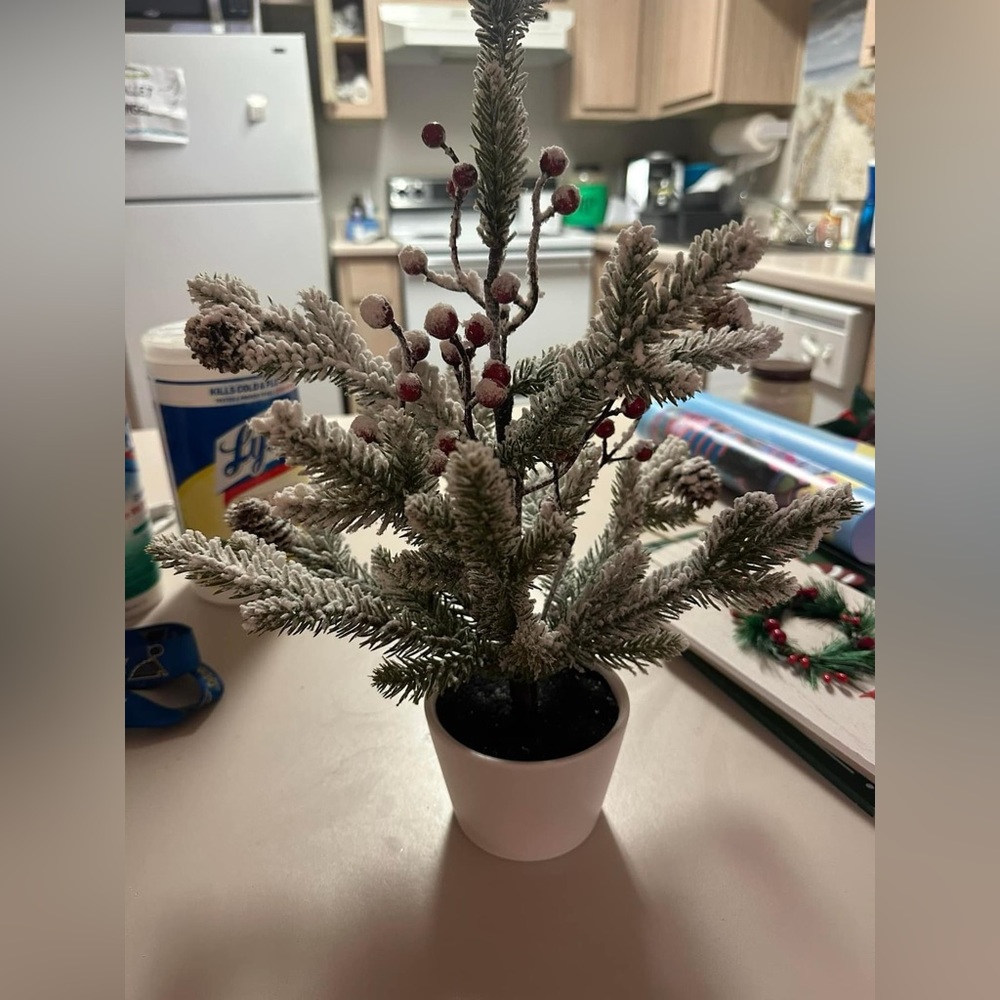 Holiday Decor - Picture 5 of 5
